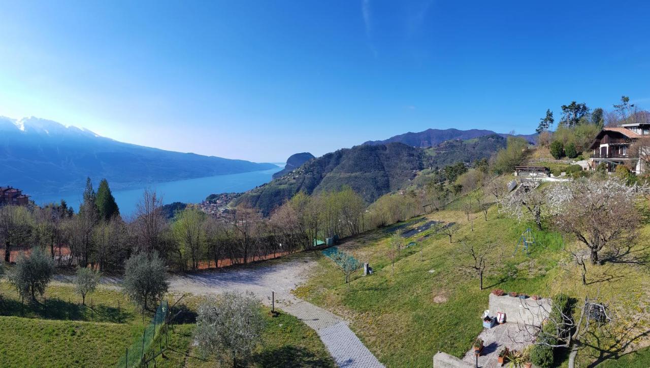 Teresa Campi Apartments Lake View By Gardadomusmea Tremosine Exterior photo